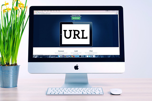 co to jest url