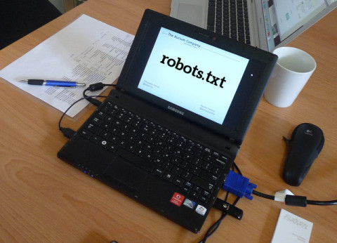 robots.txt do czego