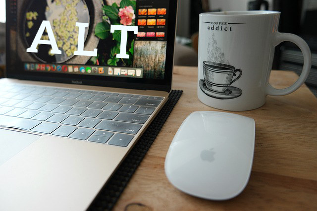 ALT - atrybut języka HTML