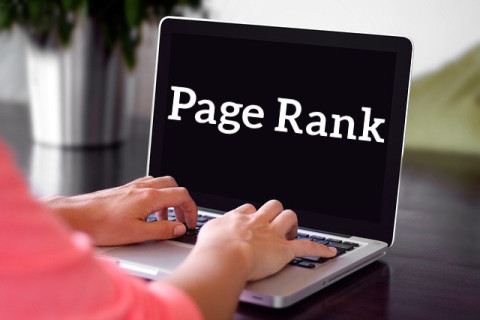 Page Rank - statystyki z czerwca 2014