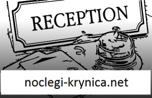 noclegi-krynica.net