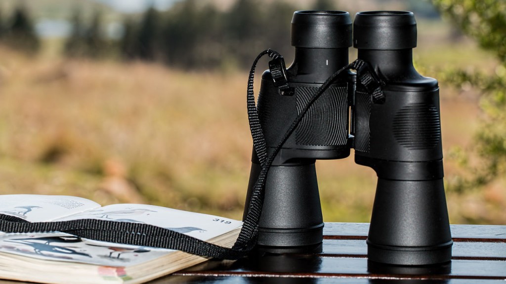 Birdwatching czyli turystyka ornitologiczna