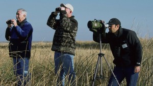 birdwatching
