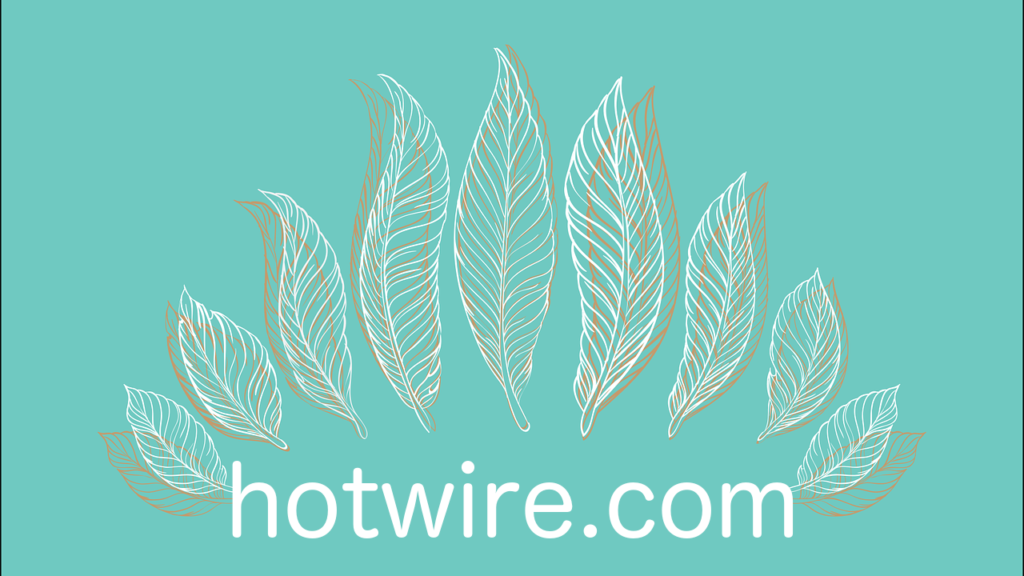 hotwire.com