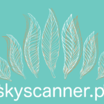 skyscanner pl