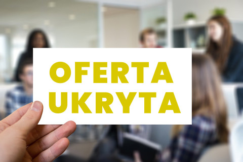 Czy pośrednik posiada dostęp do ofert, jakie nie są dostępne dla mnie w Internecie