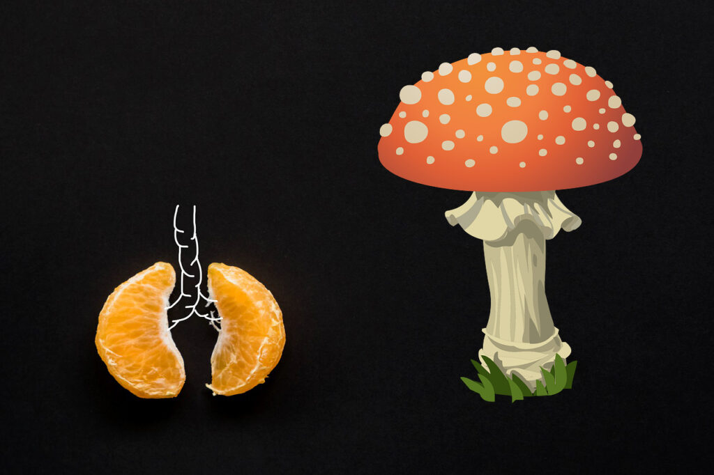 Historia zdrowotna z grzybem w tle