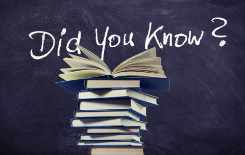 Jak wybrać biuro nieruchomości i na co zwrócić uwagę?