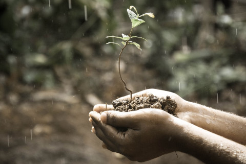 Co sprawia, że mieszkania są tak drogie?
