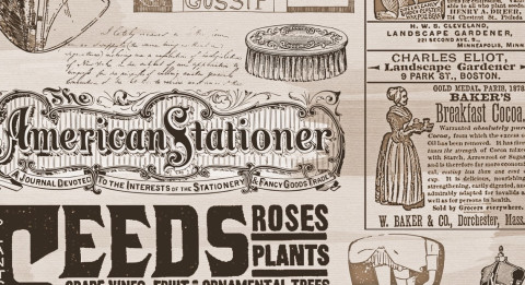 Czym różni się oferta transakcyjna od oferty cenowej?