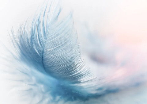 W jaki sposób sprawić, by w mieszkaniu było chłodniej latem?