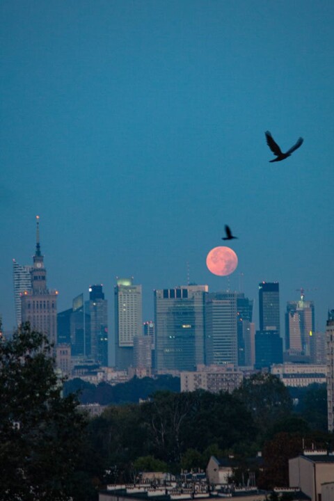 Eksmisja z Mieszkania za Niepłacenie Czynszu