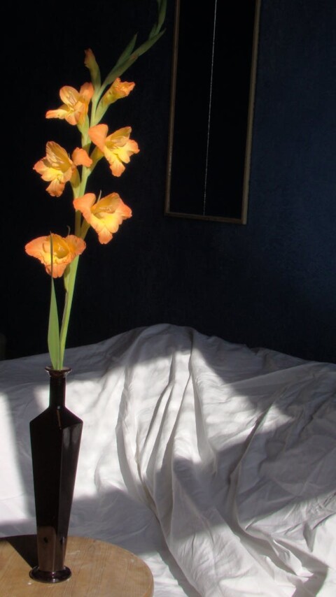 Jak Działa Zamiana Domu na Mieszkanie?