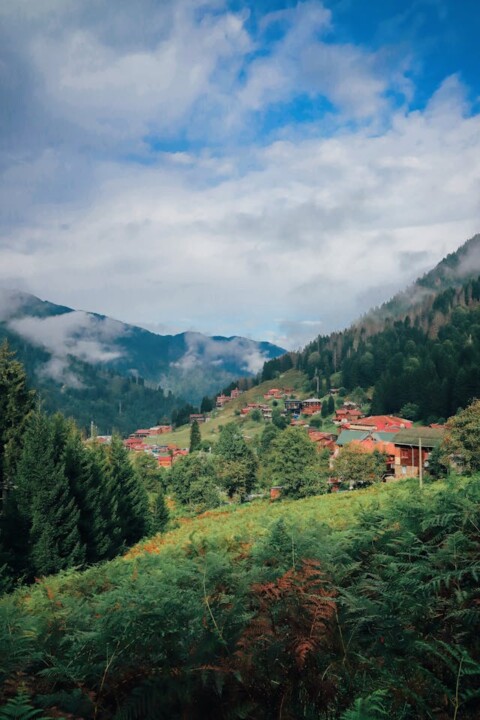 Oddanie Mieszkania za Emeryturę