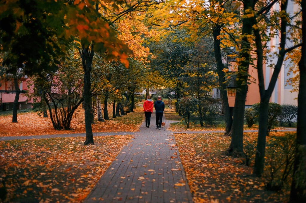 Testament dom w spadku