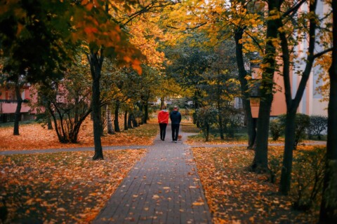 Testament dom w spadku