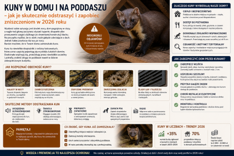 Kuny w domu i na poddaszu